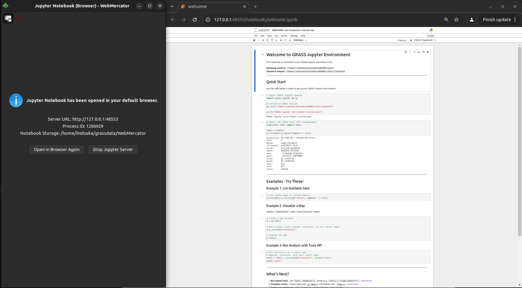 Browser Mode - Jupyter opened in your default web browser
